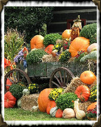 wagon with pumpkins and scarecrow