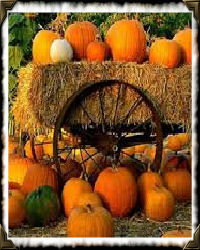 wagon with hay bales and pumpkins