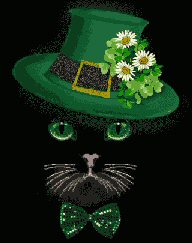 Irish cat