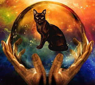 black cat in crystal ball