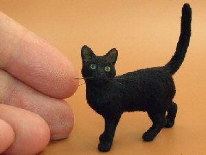 miniature black cat