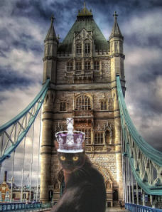 cat with crown on Tower Bridge