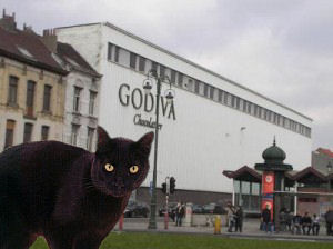 cat in front of Godiva factory
