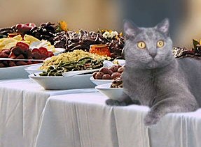 cat with feast