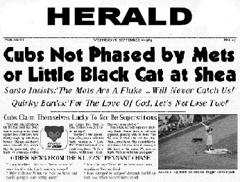 cat newspaper article