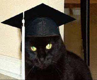 cat with graduation cap