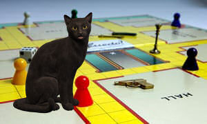 cat on Cluedo board game