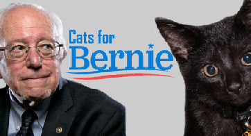 cats for Bernie Sanders