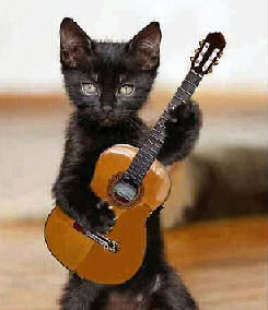 black cat with guitar