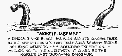 Mokele-mbembe, the Congo's mysterious Dinosaur