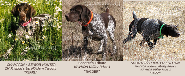 The German Shorthaired Pointer Club of Michigan