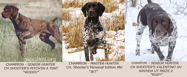 The German Shorthaired Pointer Club of Michigan