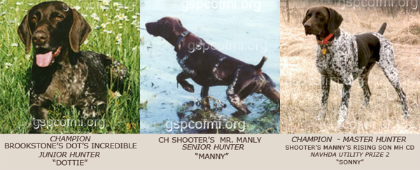 The German Shorthaired Pointer Club of Michigan