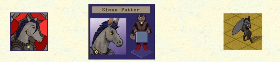 Simon Potter Banner