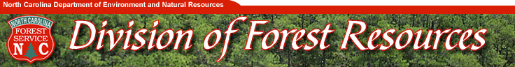 NC FORESTRY SERVICE