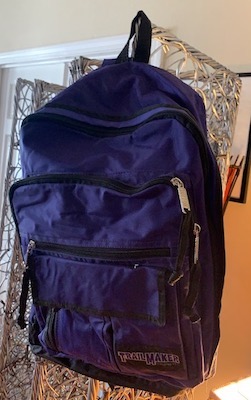 Trailmaker Purple Backpack