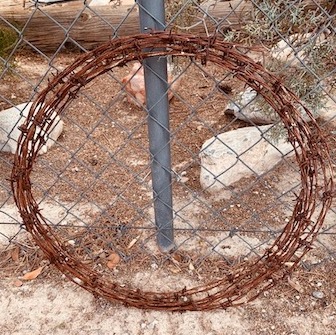 Real Rusted Barbed Wire