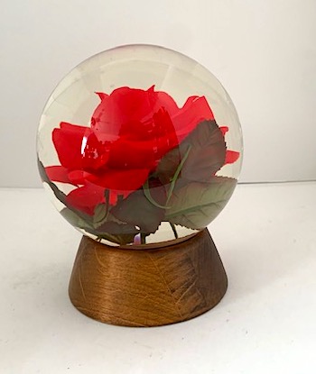 Vintage Rose In Globe