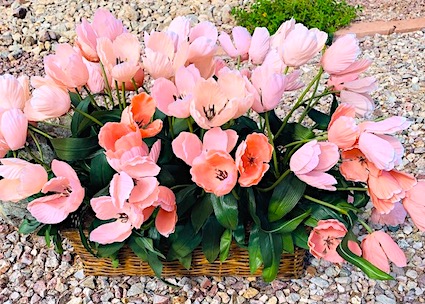 Tulips In a Basket Centerpiece 