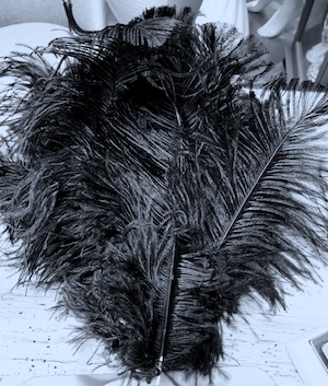 Osterich Solid Black Feathers