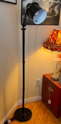 Contemporary Floor Lamp with Black Industrial Shade