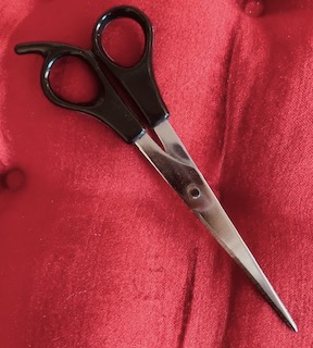 Small Barber Scissors