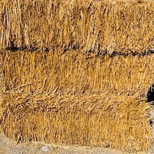 Straw Bale