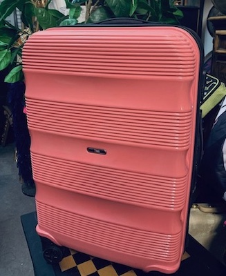 Salmon Contemporary Suitcase