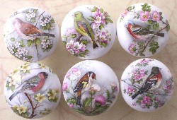 Cabinet knobs 6 Domestic Birds