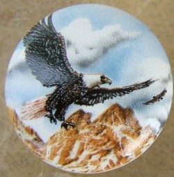 Cabinet knobs American Eagle