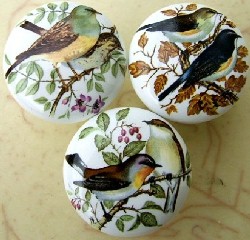 Cabinet knobs Three Domestic Birds