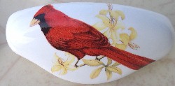 Drawer Pull Domestic bird Cardinal