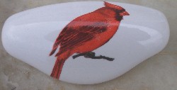 Drawer Pull Domestic bird Cardinal