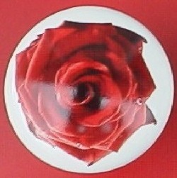 CERAMIC CABINET pull KNOB  PINK RED ROSE ROSES flower