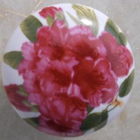 Cabinet Knob Pink rhododendron