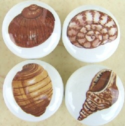 Ceramic cabinet knob seashell sea shell mariansceramics.com