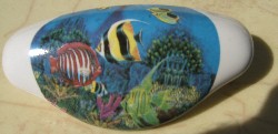 Ceramic Drawer pull tropical fish