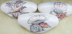 Drawer Pull Sea shell seashell available at mariansceramics.com