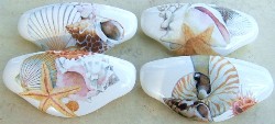 Drawer Pull Pretty Sea Shell seashell available at mariansceramics.com