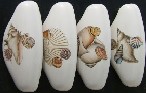 Drawer Pull Pretty Sea Shells Available at mariansceramics.com