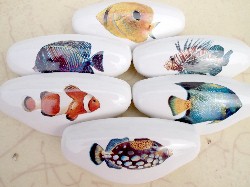 Ceramic cabinet knob tropical fish available at mariansceramics.com