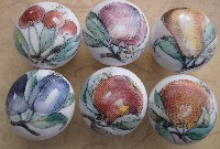 Cabinet knobs water color Fruit
