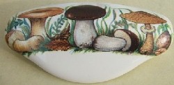 Drawer Pull Mushrooms