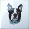Ceramic Tile Boston Terrier