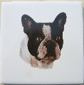 French Bulldog Ceramic Tile