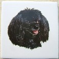 Black Toy Poodle Ceramic Tile