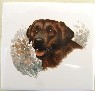 Chocolate Labrador Ceramic Tile