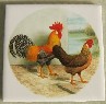 Ceramic Tile Chickens Leghorns