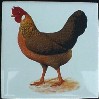 Ceramic Tile Chickens Hen