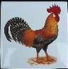 Ceramic Tile Chickens Rooster